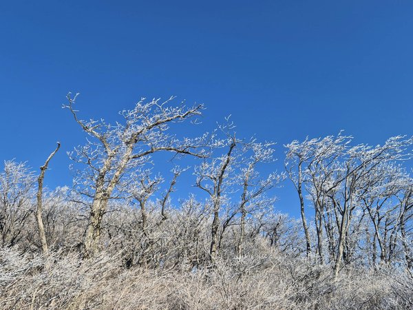 Choisissez le bon audioprothésiste à pessac : guide complet