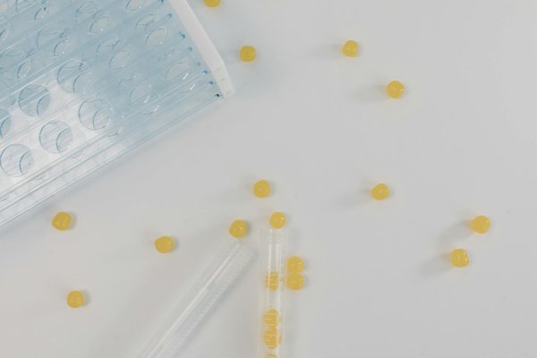 Mutuelle santé : protégez votre santé et vos performances athlétiques