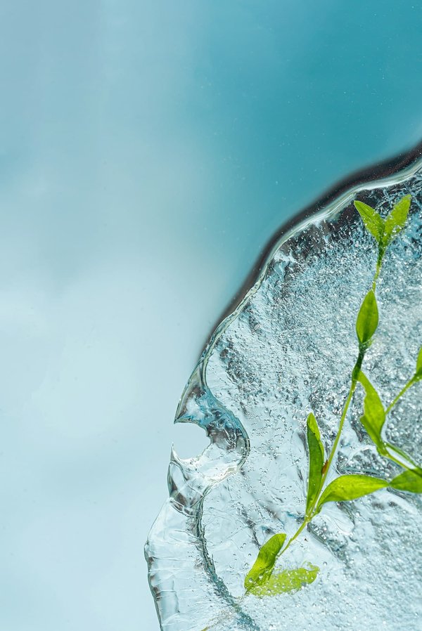 Quels sont les effets de la thérapie par l'eau froide sur le tonus musculaire chez les athlètes?